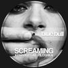 Screaming (Original Mix) - Kenzoo&Piloshka
