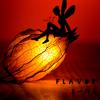 Flavor - YU-1&yuichi shimada