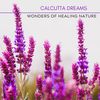 Wonders Of Healing Nature (Original Mix) - Calcutta Dreams