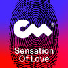 Sensation Of Love - Fluwence&Albert Markiewicz&Closer Music
