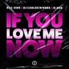 If You Love Me Now - O-Dee&DJ Carlos Rivera&DJ C-Side