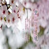 药师佛赞 (音乐加长版) - 罗启瑞