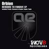 Aguja (Original Mix) - Orbion