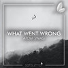 What Went Wrong - Atom Swag&Satsuma Music