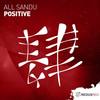 Positive (Original Mix) - All Sandu