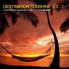 Chase the Sun (Musica Feliz Ibiza Beat Remix) - David Tort&Norman Doray