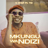 Mkungu Wa Ndizi - Q Chief&tid