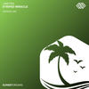 Striped Miracle (Original Mix) - Limetra