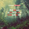 Angimfun Omunye (DJ Criswell Remix) - Melvesant&DJ Criswell