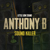 Sound Killer - Anthony B&Little Lion Sound