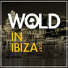 Look For The Light (Original Mix) - Wolfson&Deniz Kabu