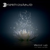 Futurism (Digital Factor Meets Margaret Street Remix) - Elektrostaub&Norderney&Digital Factor&Nicole Knoch