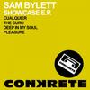 Pleasure (Original Mix) - Sam Bylett