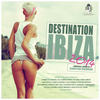 Destination: Ibiza 2014 - The Beach Mix (Continuous DJ Mix) - Sebastian Gnewkow