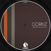 Voice (Original Mix) - Gorkiz