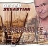Ganz tief in meinem Herzen (Danny Top) - Peter Sebastian