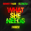 What She Needs - Benny Page&Sublow Hz