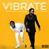 Vibrate - SuperStar DJ Xclusive&Timaya