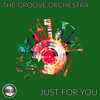 Just For You (Original Mix) - The Groove Orchestra