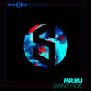 Can't Hide - Mr.Nu