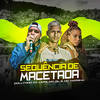 Sequência de Macetada (Explicit) - MC Marsha&DJ Dollynho da Lapa&Mc GL