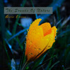 Midsummer Waltz (Water Version) - Samuele Vivian