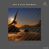 Change Of Mind (Original Mix) - GLF&Flex Bormarr