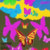 Metamorphosis (Explicit) - WEX! THE MASTER&Khaalid Anderson&90culture&Cleo J'Adore&Don Hanz&ANTIDOTE