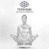Silence Moment (Original Mix) - Terrasun