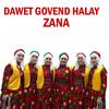 Halay Potpori - Zana