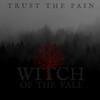 Trust the Pain - Witch of the Vale&Erin Hawthorne&Ryan Hawthorne