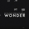 Wonder - Gaullin&Linas Gaudutis