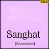 Sanghat - Sonali Vajpayee