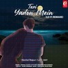 Teri Yadon Mein Lofi - Harshal Rajput&Lo-fi 2307&Krishnakumar Kunnath