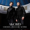 Strada Zilelor Senine - Akord