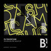 Really Make It Hot (Original Mix) - DJ Dashcam