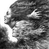 Spiritual Safari (Briarcliff Remix) - Bruno Costa&Briarcliff