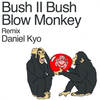 Blow Monney (Daniel Kyo Remix) - Bush II Bush&Daniel Kyo