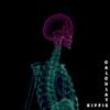 CALCULATE - Kiffie&Daniel Paul Kiff