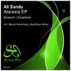 Blossom (Original Mix) - All Sandu
