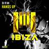 Hands Up (Original Mix) - DJ R'an