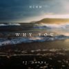 Why You(feat. Hanna) - HCHM&Hanna&Vicente Ortuno