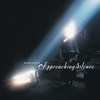 The Beekeeper's Apprentice - David Sylvian