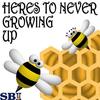 Here's To Never Growing Up (Beez & Honeys Remake Version of Avril Lavigne) - Beez&Honeys