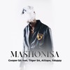 Mashonisa - Cooper SA&Tiiger SA&Alxapo&Xduppy