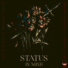 Status In Mind (Pushguy Remix) - Devine Maestro&Synth-O-Ven&Pushguy