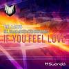 If You Feel Love (Roman Messer Radio Edit) - Feel&Aelyn