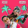Animal Frances - Chucho Flash