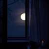 call me back in the morning - Roby Koenigs