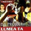 Printre vise - DJ Project